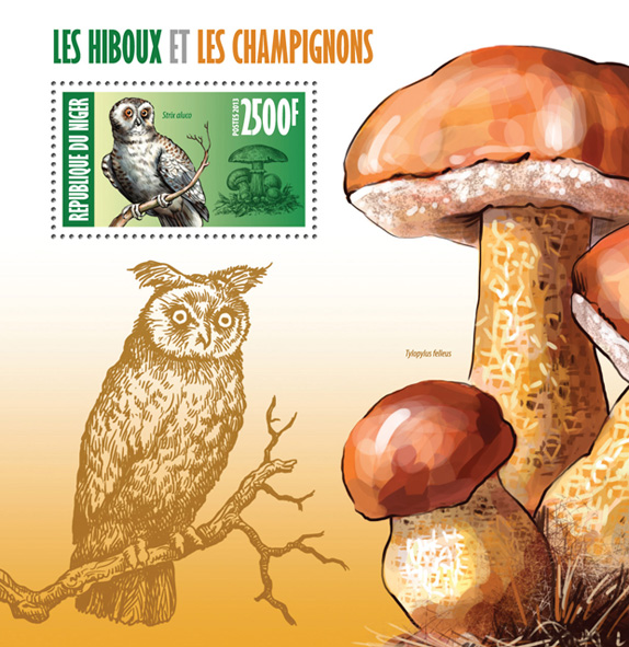 Owls and Mushrooms - Issue of Niger postage stamps