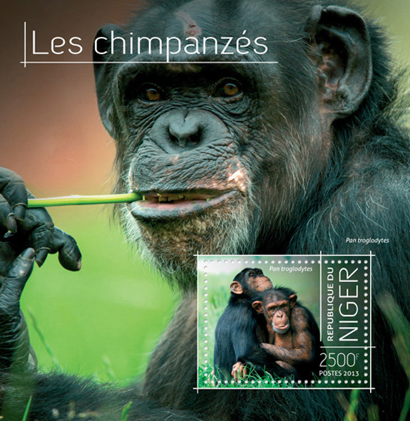 Chimpanzees - Issue of Niger postage stamps