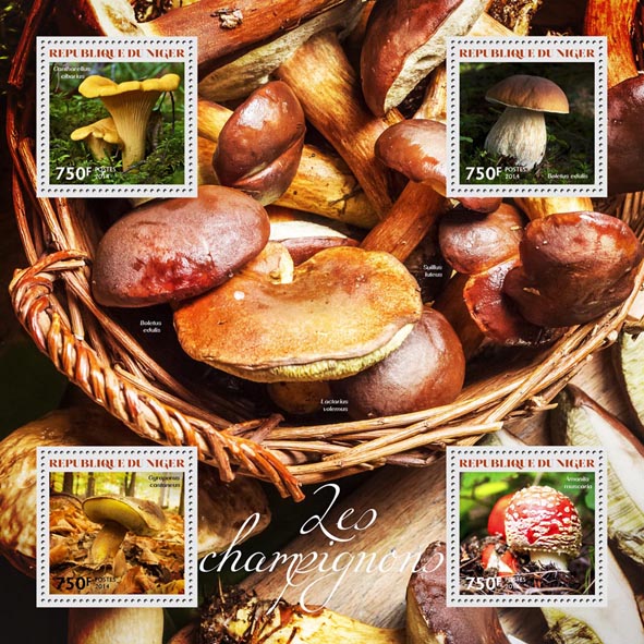 Mushrooms - Issue of Niger postage stamps