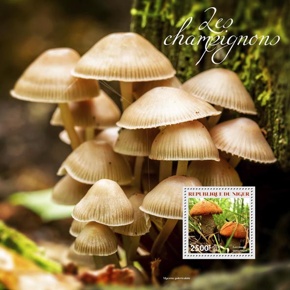 Mushrooms - Issue of Niger postage stamps