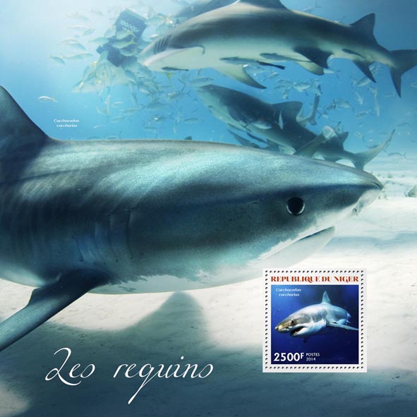 Sharks - Issue of Niger postage stamps
