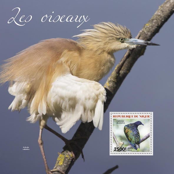 Birds - Issue of Niger postage stamps