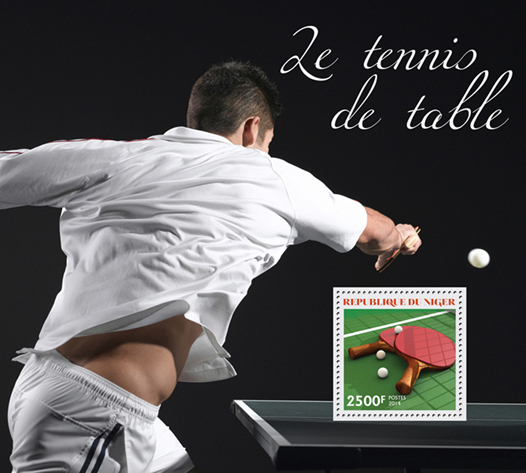 Table tennis  - Issue of Niger postage stamps