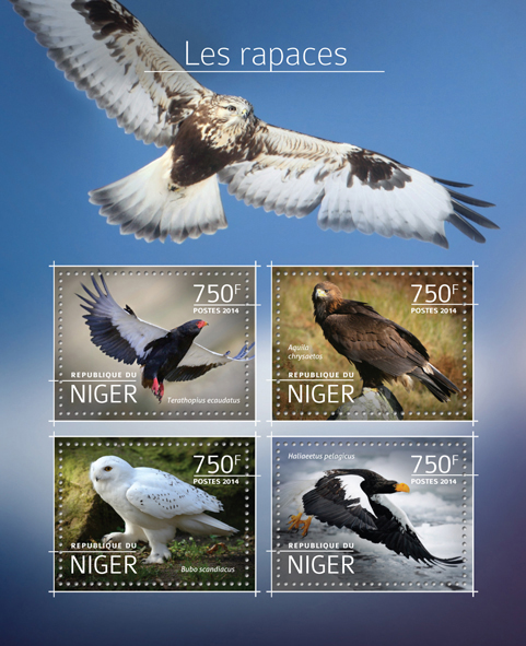 Birds of prey - Issue of Niger postage stamps