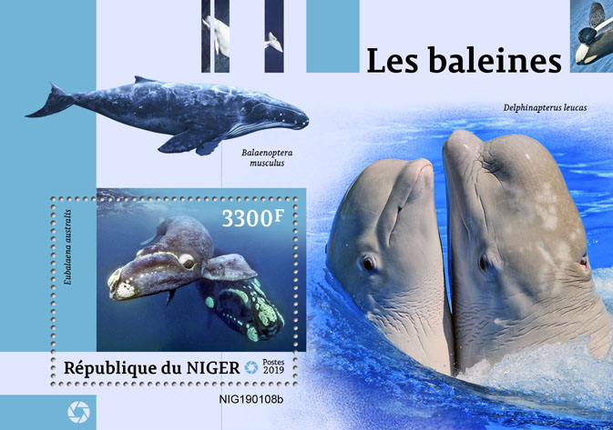 Whales - Issue of Niger postage stamps