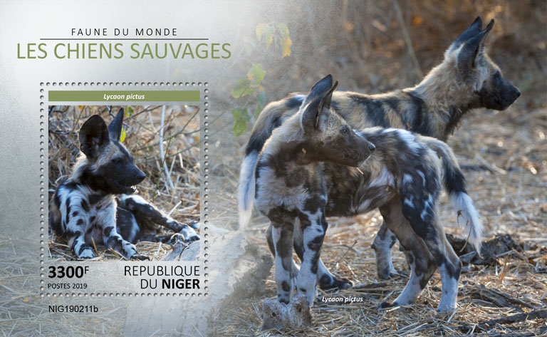 Wild dogs - Issue of Niger postage stamps