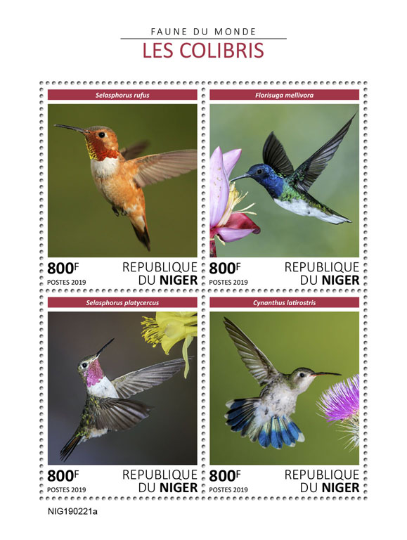 Colibri - Issue of Niger postage stamps