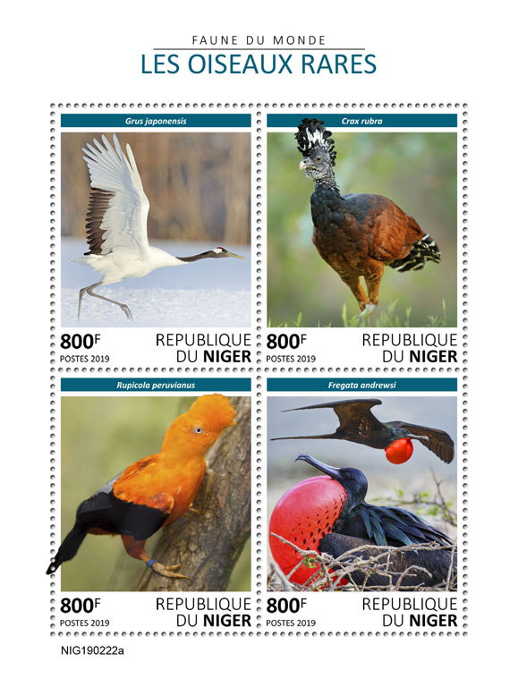Rare birds - Issue of Niger postage stamps