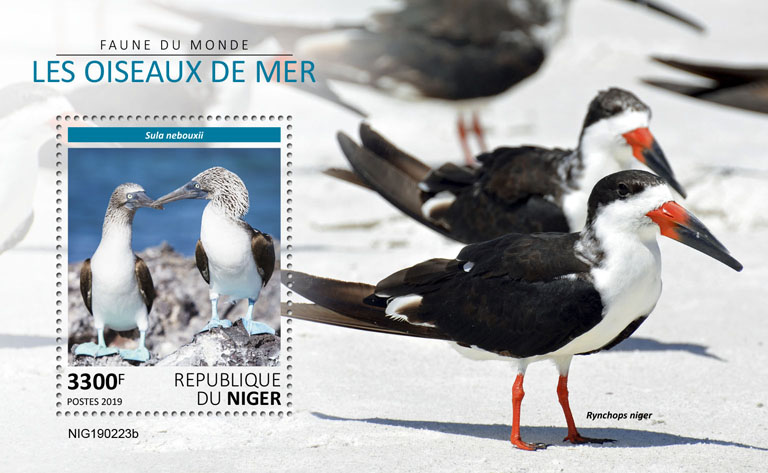 Seabirds - Issue of Niger postage stamps
