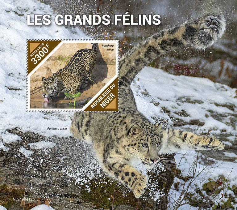 Big cats - Issue of Niger postage stamps