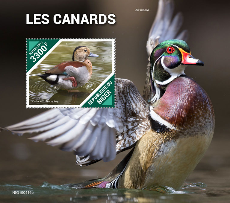 Ducks - Issue of Niger postage stamps
