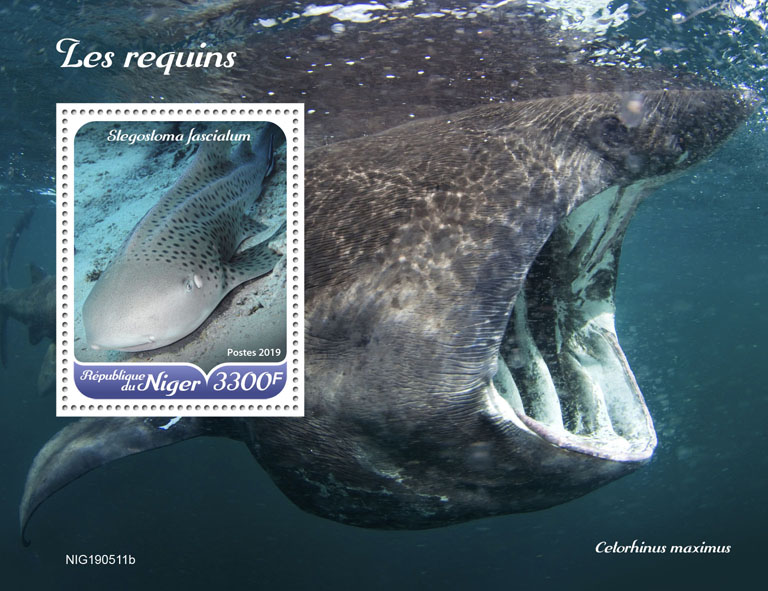 Sharks - Issue of Niger postage stamps
