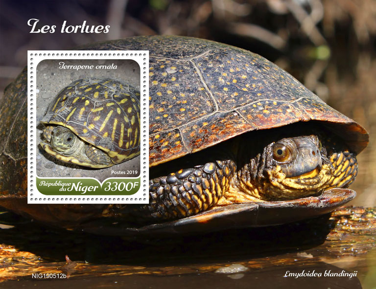 Turtles - Issue of Niger postage stamps
