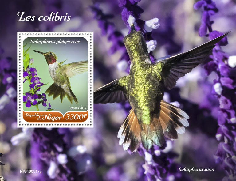 Hummingbirds - Issue of Niger postage stamps