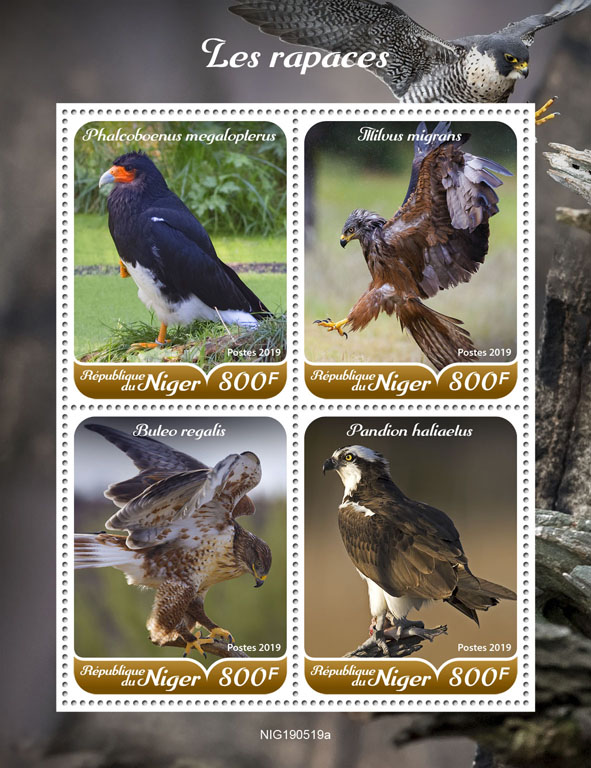 Raptors - Issue of Niger postage stamps
